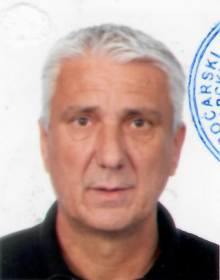vidojemartic